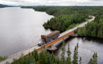 The Transformative Power of Mass TimberNordic Structures