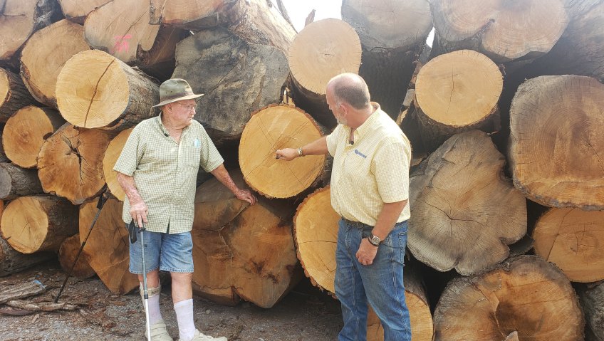 Current | December 2024 | Lumber & Building MaterialsMeet the Family That Puts the Hard Work Into Fine HardwoodsHickman Woods Family of Companies