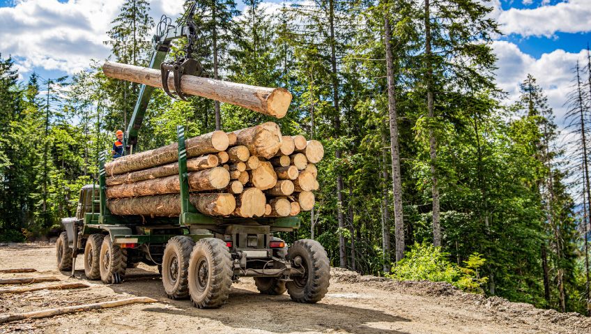 Current | February 2025 | Lumber & Building MaterialsRooted in Tradition – A Legacy in LumberZip-O-Log Mills