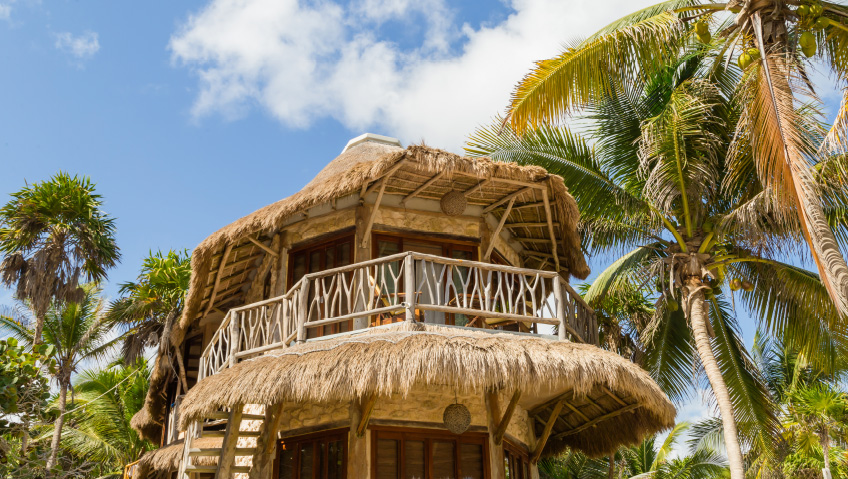 Building & Development | Current | December 2025Smart and Sustainable: The Strength, Value, and Beauty of BambooBamboo Living and Rizome Bamboo