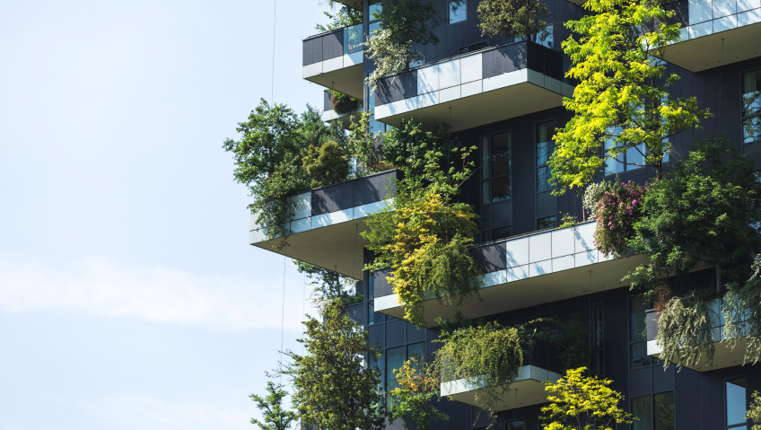 Building With NatureUrban Renewal through Regenerative Design and Construction