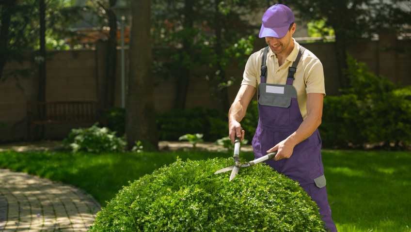 Lush LandscapesThe Rising Role of Landscape Architecture in Construction