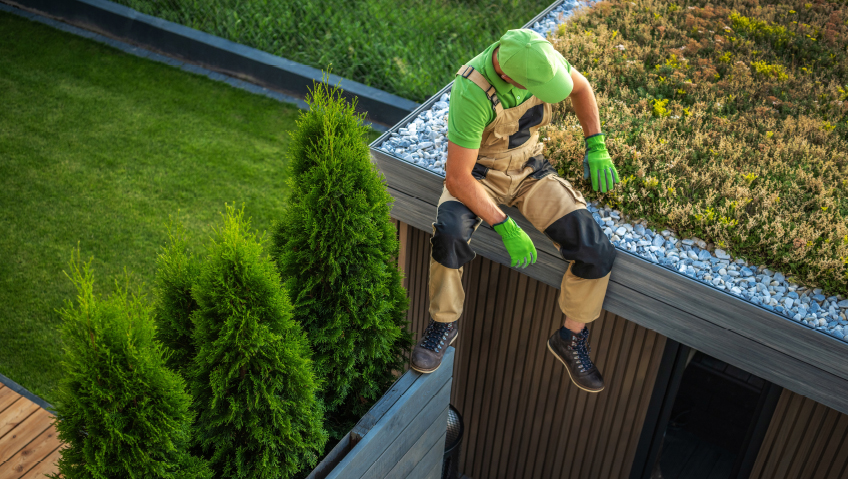 Keeping CoolCombating the Urban Heat Island Effect with Smarter Urban Infrastructure